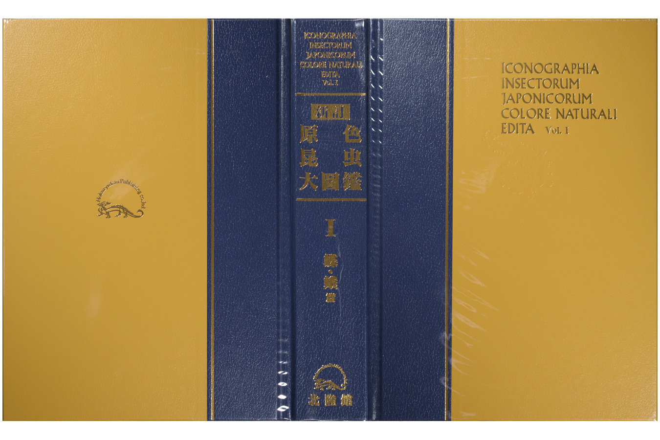 新訂 原色昆虫大圖鑑　第Ⅱ巻拡大図